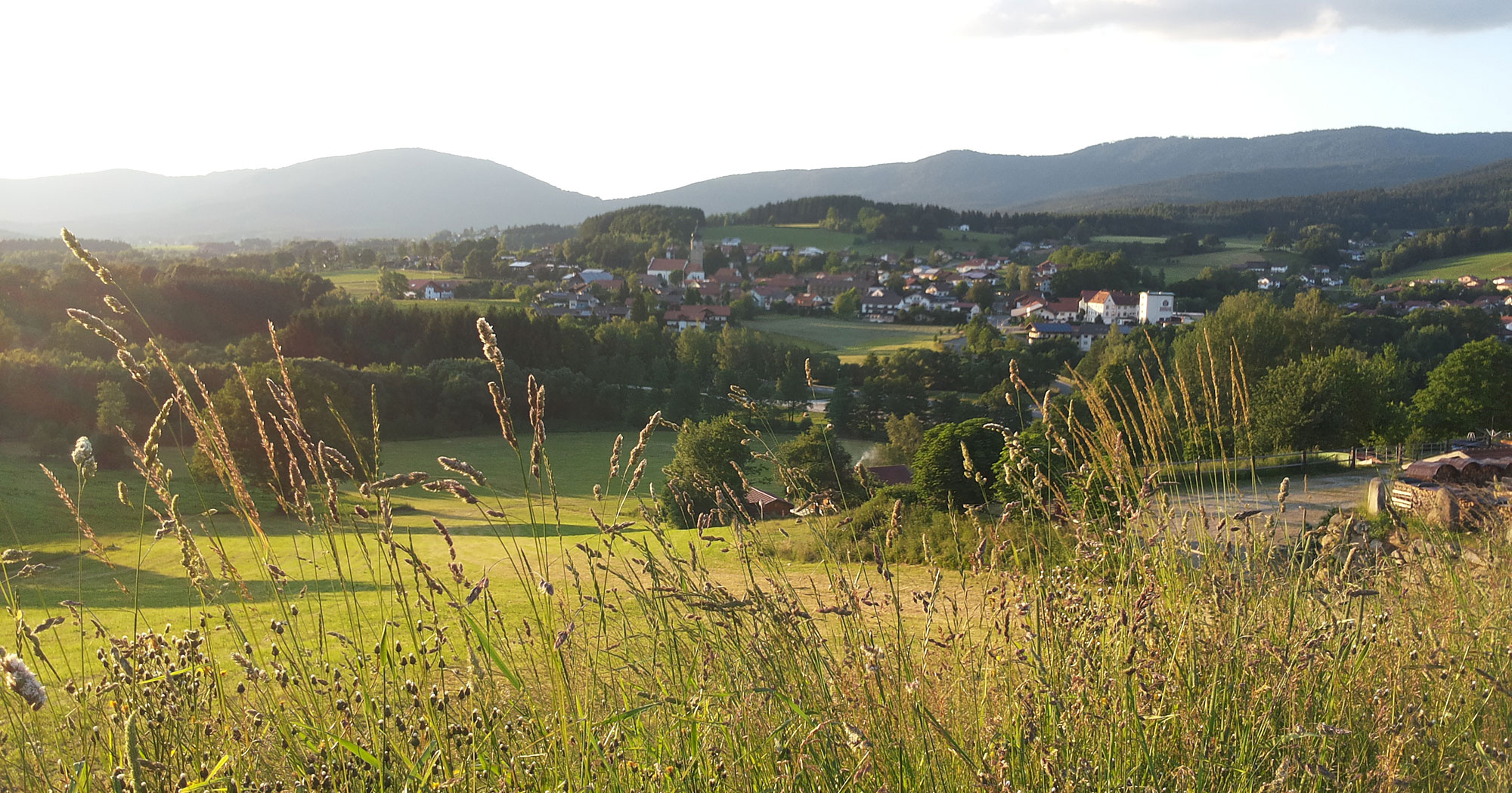 schönes Zellertal im Bayerischen Wald